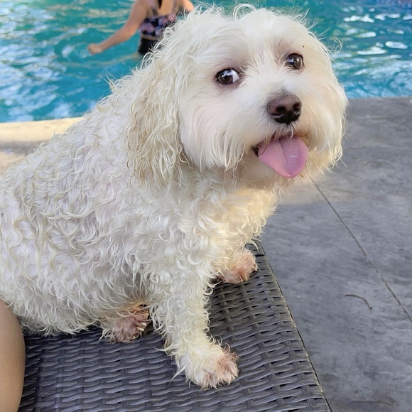 Meet your Posher, Jami - Picture 1 of 1